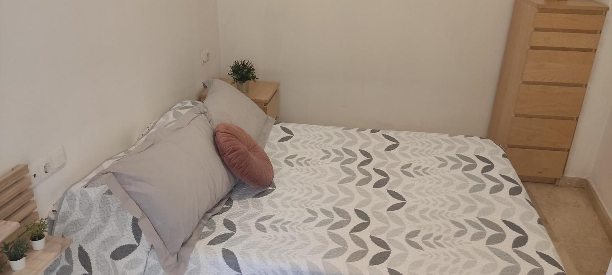 Apartamento Mendoza マラガ エクステリア 写真